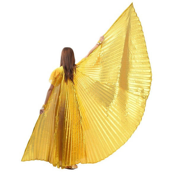 Gold Wings - Picture 4 of 6